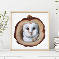 Barn Owl Fine Art Print | Barn Owl Wall Art by Roberto Rizzo | Barn Owl Print | Owl Wall Art from Pa