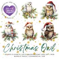 Christmas Owl JPG Clipart Bundle, Commercial Use, Digital Download