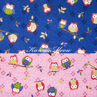Japanese Fabric - Cute Owl Asanoha - 2 Fat Quarter Bundle Set -