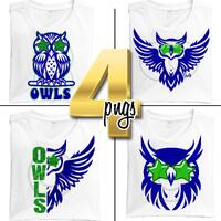Owl PNG Green and Blue Owl Mascot with Star Eye Sunglasses, Trendy Preppy Mascot for School, 300 DPI