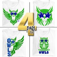 Owl PNG Green and Blue Owl Mascot with Star Eye Sunglasses, Trendy Preppy Mascot for School, 300 DPI