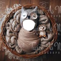 Newborn Owl Face Insert Digital Backdrop,  newborn Photography Background, newborn face insert, autu