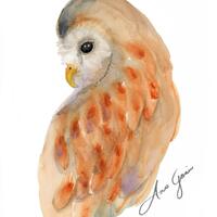 Art Owl Print, Watercolor Owl Painting, Owl Wall Art, Set of 2 Common Owl Prints, Set of Wall Prints