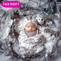 Winter Owl Newborn Digital Backdrop: Face Insert Overlay (PNG)