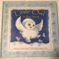 Little Owl in the Snow by Christine Tagg, Children’s Hardcover Book, 2002