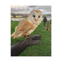 Puzzle, Owl Jigsaw, Woodland Animal Puzzle, Mindfulness Activity, Relaxing Hobby, Birthday Gift
