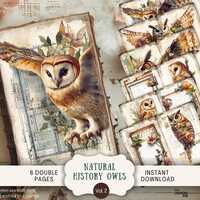 Natural History Whimsical Owls Junk Journal Pages 6 Digital Scrapbook Papers 11 x 8.5" Art Prin