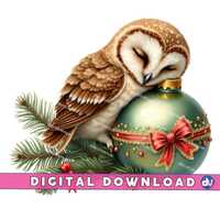 Owl Sleeping on Christmas Ornament PNG Digital Download Clipart Printable Art Dtg Dtf Mugs T-Shirts 