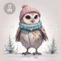 Christmas Owl, Cute Xmas Owl, Winter Owl Clipart, Owl in Hat, Christmas Woodland Animals, Little Owl