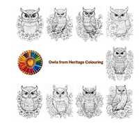 112 Beautiful Owl Coloring Pages | PDF Download + JPG & PNG Files