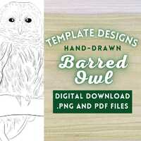 Barred Owl Wildlife PNG Digital File // Art Pattern, Pyrography Template, Wood burning Design PDF