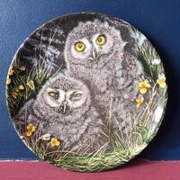 Wedgwood Side Plate - The Baby Owls - Snowy Owl Chicks