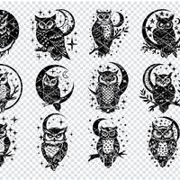 Mystical Owl Wall Art, Digital Download, Starry Night Owl Print, Black and White Owl Illustration, P