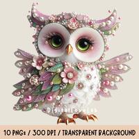 Whimsical Owl Clipart PNG Set of 10 Clipart PNG Animal Png Colorful Owl Clipart  Junk Journal Charac