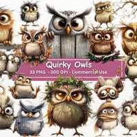 Quirky Owl Clipart Bundle: Funny Bird PNG Illustrations (Digital Download)