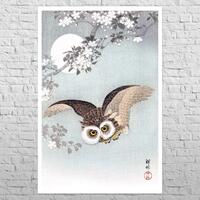 Poster Scops Owl in Flight, Cherry Blossoms and Full Moon, 1926 | 12x18" A3 | Shin-hanga | Japa