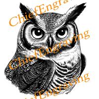 Owl PNG file for Laser engraving or for print wall art