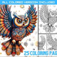 Mandala Owl Coloring Book: Detailed Patterns, Stress Relief (PDF Download)