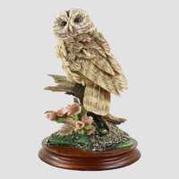 Tawny Owl Style Five Border Fine Arts