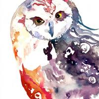 Owl Art - Watercolor Owl Print, Rainbow Owl, Owl Watercolor, Whimsical Owl, Bohemian Owl, Owl Decor,