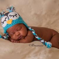 Sleepy Newborn Owl Hat in Aqua and Grey/ Crochet Owl Hat/ Baby Owl Hat