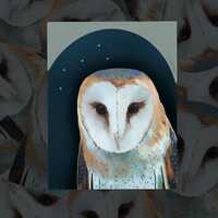 Barn Owl Mirror/ Glossy Vinyl Waterproof Sticker 3x3.8