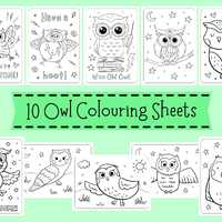Owl Colouring Sheets, Owl Colouring For Children - Owl Coloring Pages For Kids - Owl Coloring Printa