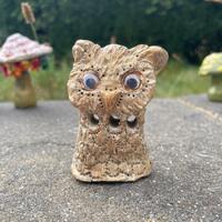 Golden googly eyed owl