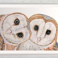 Barn Owl fine art prints, barn owl prints, owl pictures for home, watercolor owl painting, Giclee ow