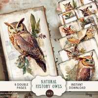 Natural History Whimsical Owls Junk Journal Pages 6 Digital Scrapbook Papers 11 x 8.5" Art Prin