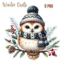 Winter Owl Clipart, High Quality PNGs, Winter Clipart, Christmas PNG, Digital Planner, Watercolor, C