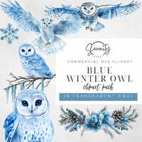 Blue Winter Owl, Watercolor Snowflake Clip Art, Floral PNG Winter Snow Scene illustration, Commercia