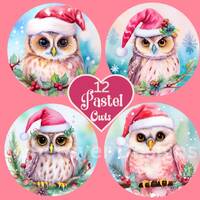 Pink Christmas Owl PNG, Owl Christmas Clipart For Sublimation Ornament Earrings Coaster Circle Circu