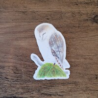 Barn Owl Sticker, Cute Owl Sticker, Watercolor Owl Sticker, Water Resistant Laminate Vinyl Sticker, 