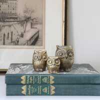 Vintage Brass Owl Figurines, MCM Owl Decor, Set of 3