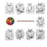 200 Beautiful Owl Coloring Pages - 100 PDF Sheets + bonus 200 JPG & PNG Files! Perfect for Owl L