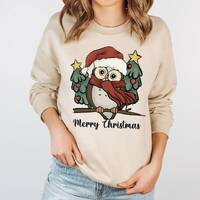 Christmas Owl Sweatshirt, Winter Owl Lonngsleeve,  Funny Christmas Animal Hoodies,  Xmas Owl Sweater
