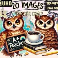 Teacher Owls Clipart – 20 PNG School Graphics (Digital Download)