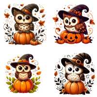 Adorable Halloween Owl on Pumpkin PNG Design Bundle | Cute Witch Owl Clipart for Halloween Crafts an