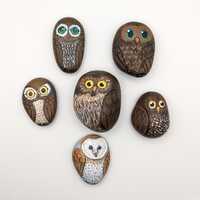 Owl rocks