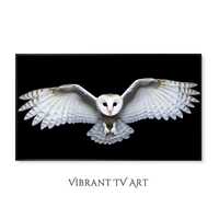 Barn Owl Frame TV Art, Minimalist Art, Wildlife Photography for TV, Owl in Flight, Modern Art for Fr