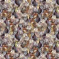 Wild wonder owl fabric