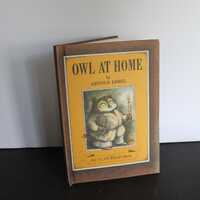 Vintage Owl At Home Book. Hard Cover, 1975 Weekly Reader Books, Excellent Condition, Child Book Nost