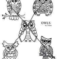 Owls