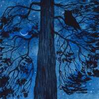 Owl Painting Pine Tree Original Art 5" x 7" Night Sky Painting Woodland Owl Lover Gift Enc