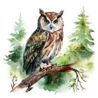 12 Owl on Branch Clipart, Cute Owl, Wise Owl Printable Watercolor Art, High Quality JPGs, Digital Do