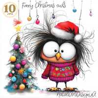Quirky Christmas owl clipart, 10 JPG funny owl, Christmas card, winter clipart, scrapbooking clipart