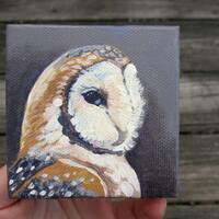 Barn Owl Portrait- Original Miniature Painting - Woodland Wall Decor