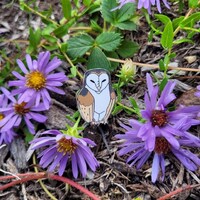 Barn Owl - Hard Enamel Pin - 1 inch