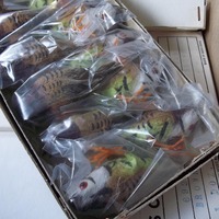 Vintage Spun Cotton Barn Owls with Feathers - Autumn Decorations (Set of 12)